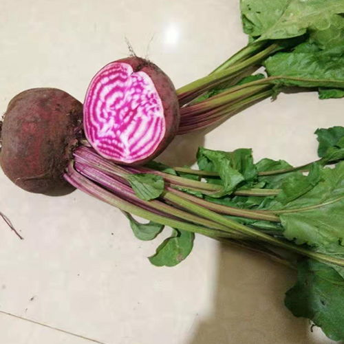 昆明無土栽培蔬菜哪里賣擇優(yōu)推薦 本信息長(zhǎng)期有效