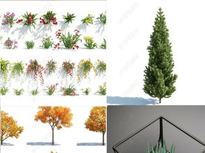 幾十款精致植物樹木花草3dmax軟件模型設計模型下載