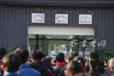 鄖陽香菇再添三張“國"字招牌,出口貿易開啟新征程!
