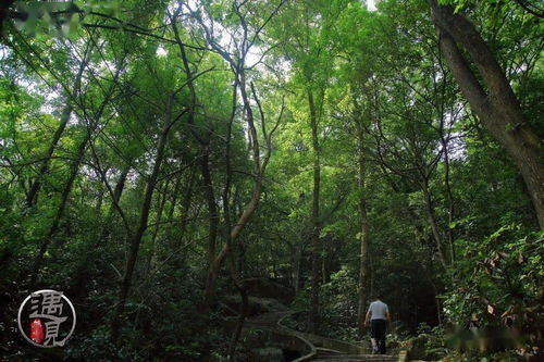 大壩云石巖
